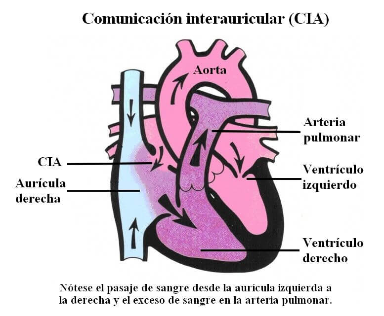 Fisiologia-CIA